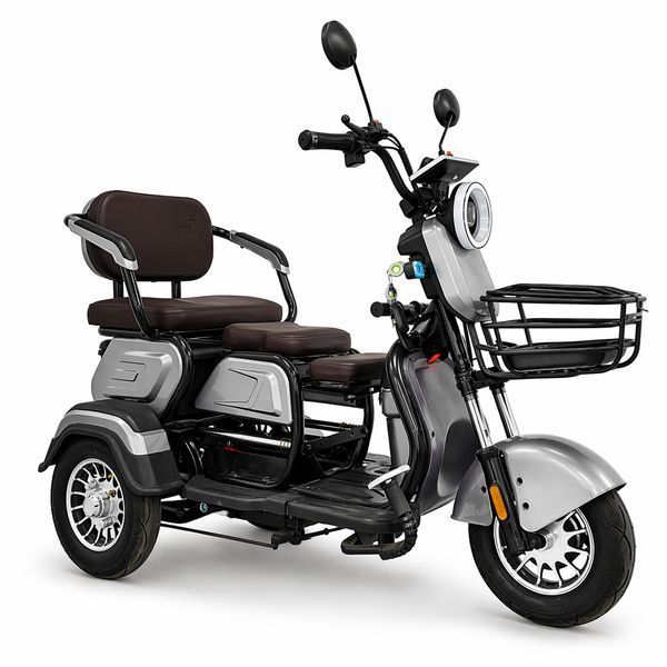 Электромопед трехколесный Power Wheel 1000 Вт 35 км/ч скутер на трех колесах электроскутер для людей с инвалидностью ALR-10PL35 фото