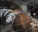 Міні-пила акумуляторна Basehome гілкоріз маленький + МАСЛО для шини 6 дюймова MGT-BH0022 фото 6