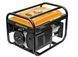 Бензиновый генератор AgroPro BASIC 3600 PWT-KG43253 фото 2