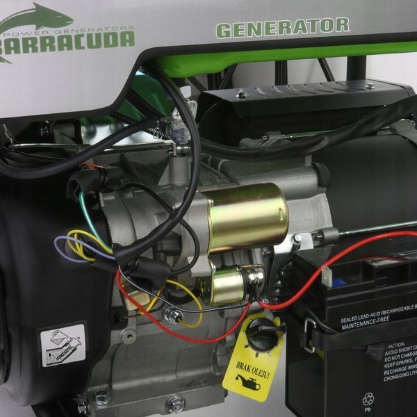 Генератор бензиновый Barracuda AGP70001FND, 7000 Вт PWT-6409 фото