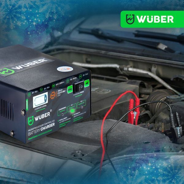 Зарядний пристрій 10А Wuber MCU21 (6В і 12В) PWT-MCU21 фото