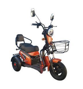 Компактний триколісний електроскутер CityMove S1-WS600 1000 Вт 50 км прогулянковий електротрицикл IMP-S1-WS600 фото